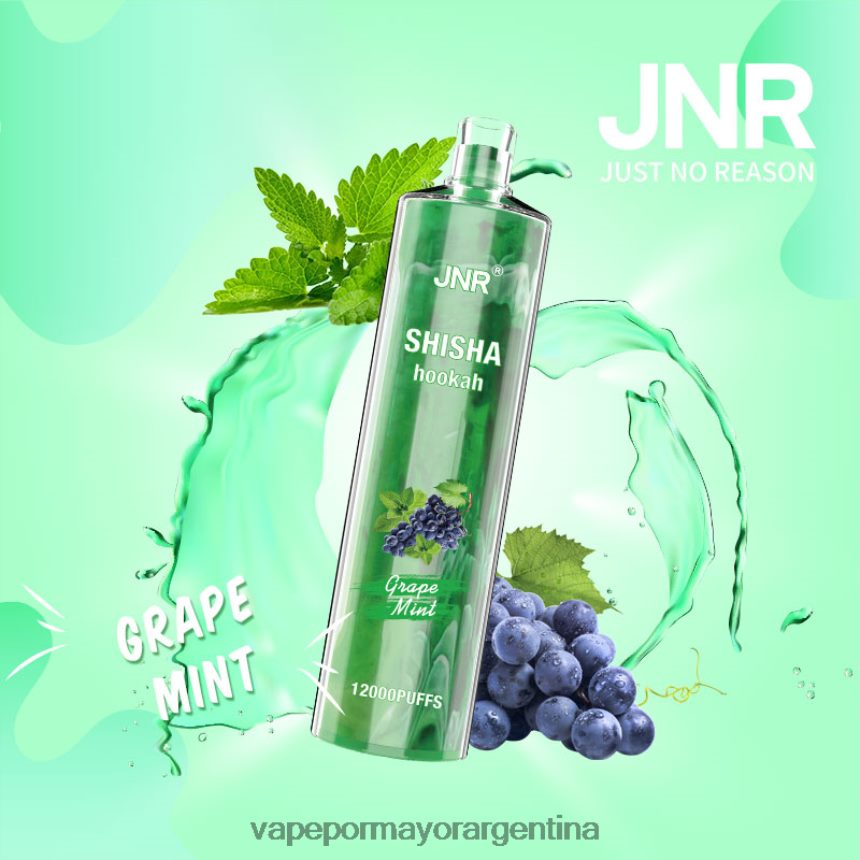 FDLPBF678 menta de uva - Vape Recargable JNR SHISHA