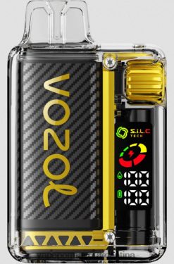 FDLPBF10 hielo de mango - Vape Argentina VOZOL VISTA 16000/20000 5%