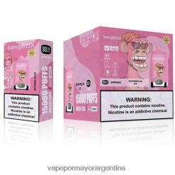 FDLPBF139 hielo de sandia - Vape Por Mayor Argentina Bang Box 15000
