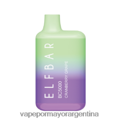 FDLPBF300 uva de arándano - Vape Argentina ELFBAR BC5000