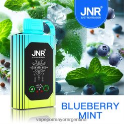 FDLPBF618 menta de arándanos - Vape Recargable JNR SHISHA BOX
