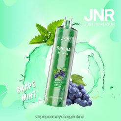 FDLPBF678 menta de uva - Vape Recargable JNR SHISHA