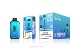 Vape Argentina - Bang Box 18000 bocanadas hielo de arándanos 8B6090