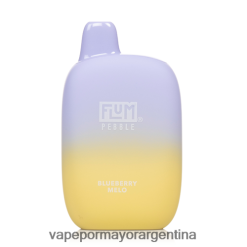 Vape Argentina - FLUM PEBBLES 6000 bocanadas melocotonero de arándanos RRT88N22
