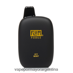 Vape Recargable - FLUM PEBBLES 6000 bocanadas menta helada RRT88N30