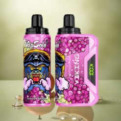 VapSolo VIKING 12000 Puffs Sueño de Verano 22ml Nicotina