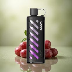 VOZOL Gear Shisha 25000 Puffs Menta Uva Dual Mesh 1000mAh