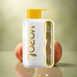 VOZOL STAR 40000 Puffs Mango Melocotón 1000mAh 20mg Nicotina