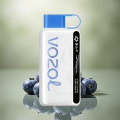 VOZOL STAR 9000/12000 Puffs Tormenta de Arándano con 650mAh y carga rápida